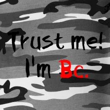 Trust me I´m  Bc. / Věř mi jsem Bc.