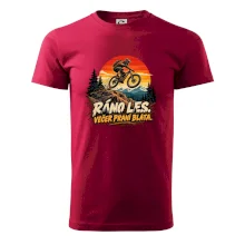 Ráno les večer praní bláta na kole