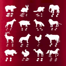 Zvířecí stopy s obrázkem zvířete - stopy zvířat