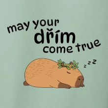 May your dřím come true