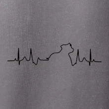 Stafordšírsky bulteriér EKG