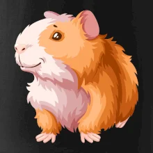 Morče - kreslené, bílo oranžové