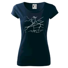 Černobílá mapa Cerhovice 267 61