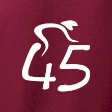 Cyklista slaví pětačtyřicítku (45)