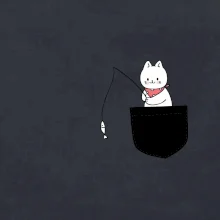 Kočka s rybou v kapse