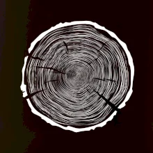 Letokruhy 100 bez věku