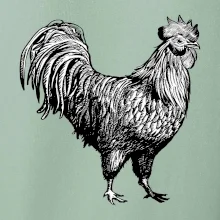 Kohout kreslený černobílý