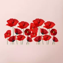 Vlčí mák v řadě