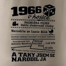 1966 v kostce