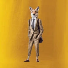 Vlk elegán Vlk elegán