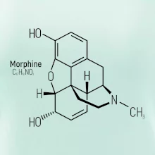 Molekulární struktura Morfin