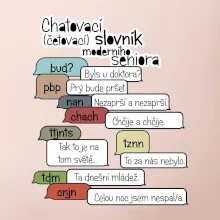 Chatovací slovník moderního seniora (Běžící češtinář)
