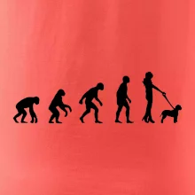 Lagotto romagnolo Evoluce