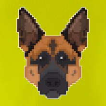 Německý ovčák - Rozkostičkovaný