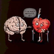 Mozek a srdce - poučení (Hana-creative)