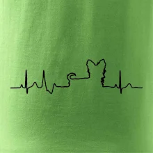 Jorkšírský teriér EKG