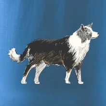 Border kolie kreslená