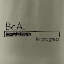 In progress  titul BcA. bakalář / bakalářka umění