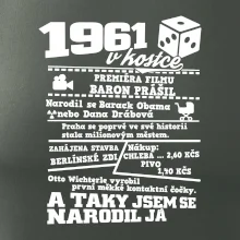 1961 v kostce
