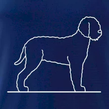 Lagotto romagnolo stojící