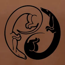 Jezevčíci - Jin jang