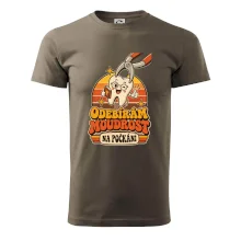 Odebírám moudrost na počkání