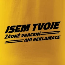 Jsem tvoje žádné vracení Jsem tvoje žádné vracení