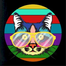 Kočka při barevném západu