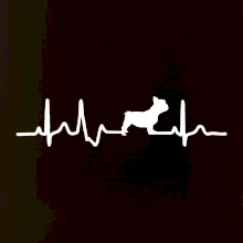 EKG Francouzský buldoček z boku