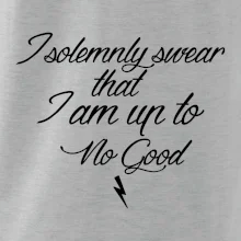 I solemnly swear that I'm up to no good