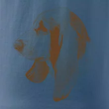 Basset - kreslená hlava