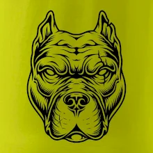 Americký stafordširský teriér hlava