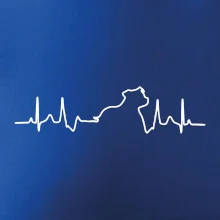 Stafordšírsky bulteriér EKG