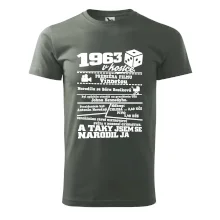 1963 v kostce