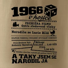 1966 v kostce