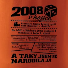 2008 v kostce