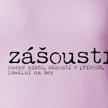 Čeština 2.0 - zášoustí