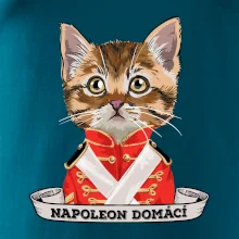 Napoleon domácí kočka Napoleon domácí kočka