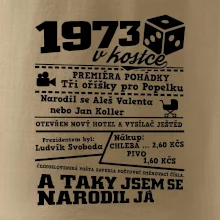 1973 v kostce