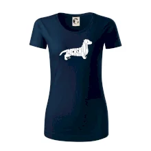 Jezevčík - Dachshund