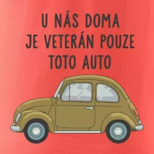 U nás doma je veterán pouze toto auto zelené