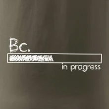 In progress  titul Bc. bakalář / bakalářka