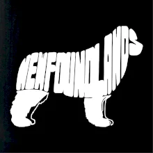 Novofundlandský pes - nápis v tělě