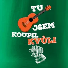 Tu kytaru jsem koupil kvůli tobě