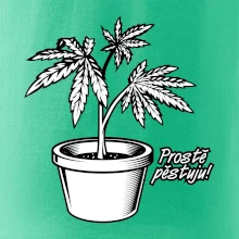 Konopi prostě pěstuju