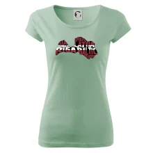 Mapy - názvy měst - Moldávie