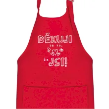 Děkuji za to, že jsi