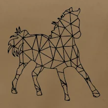 Geometrie - kůň jednobarevná
