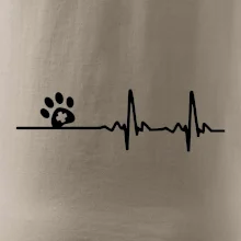 Veterinář EKG