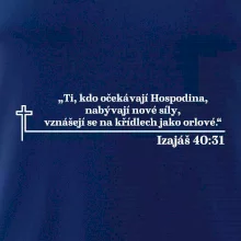 Citáty z bible - Izajáš 40:31